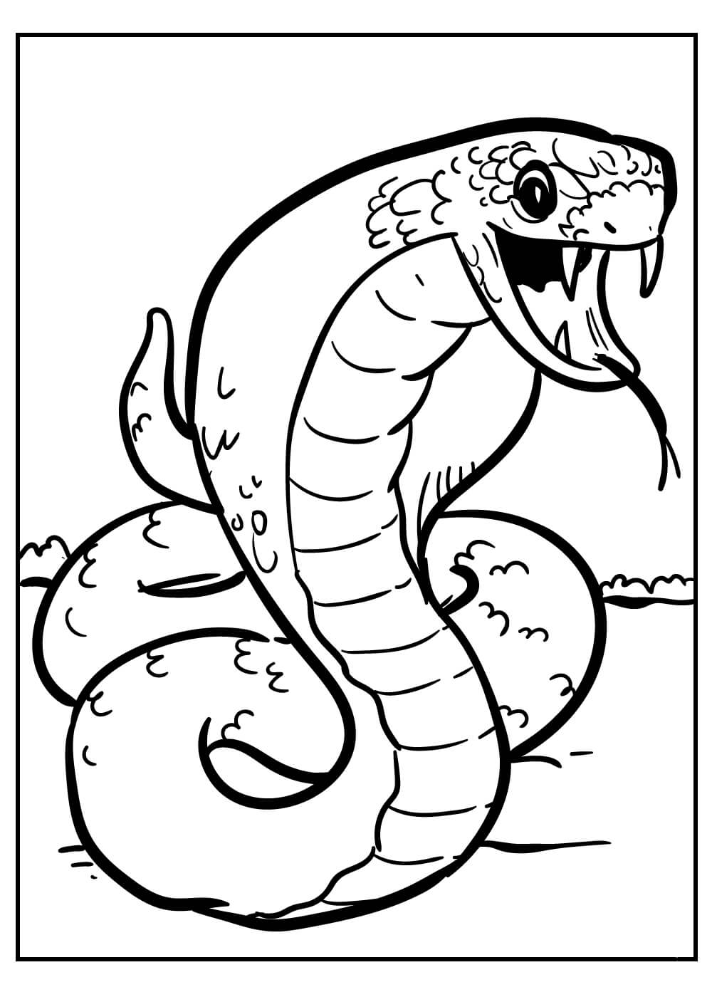 Cobra Graciosa