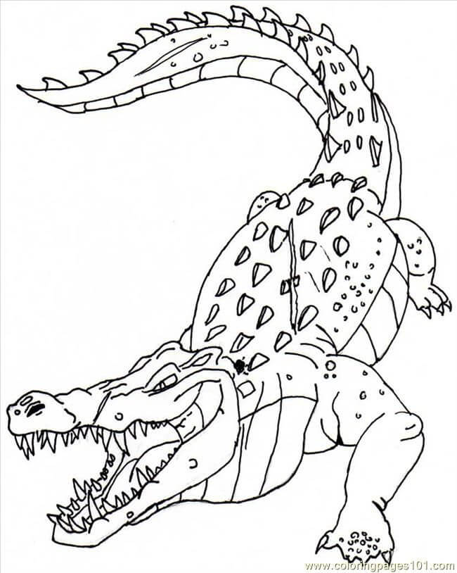 Cocodrilo Enojado