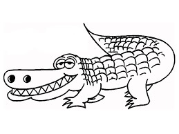 Cocodrilo Estúpido