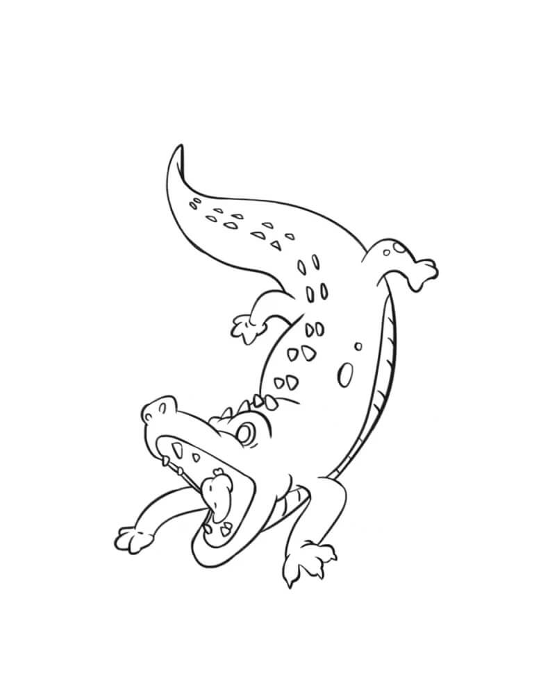 Cocodrilo Libre