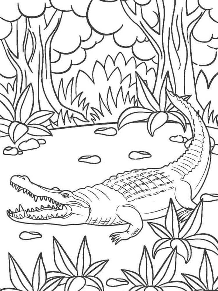Cocodrilo en la Jungla