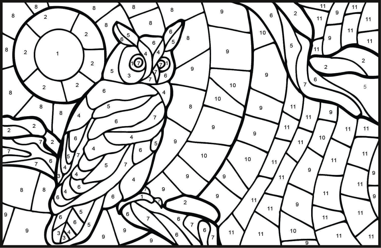 Color de Búho por Número
