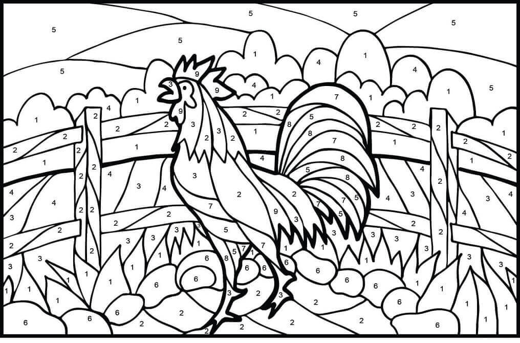 Color de Gallo por Número