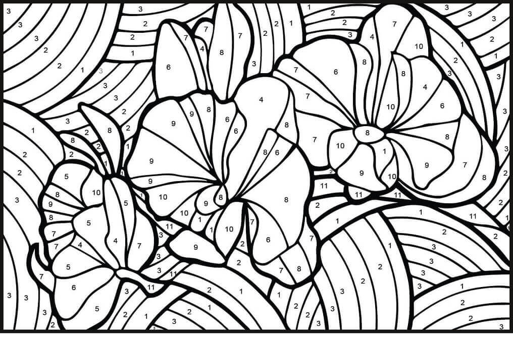 Color de Orquídeas por Número