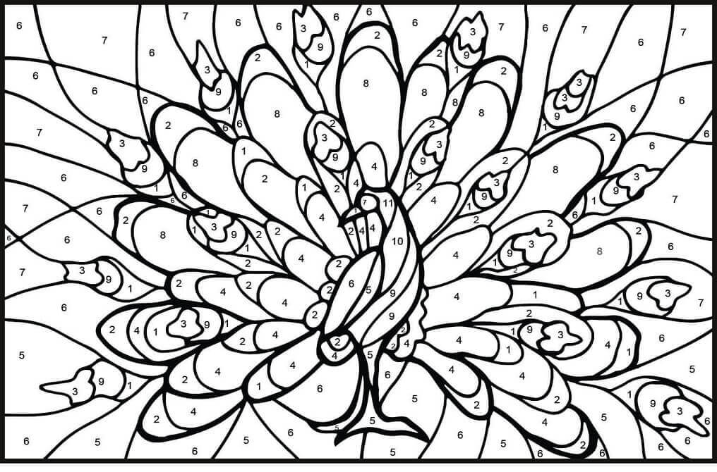 Color de Pavo Real por Número