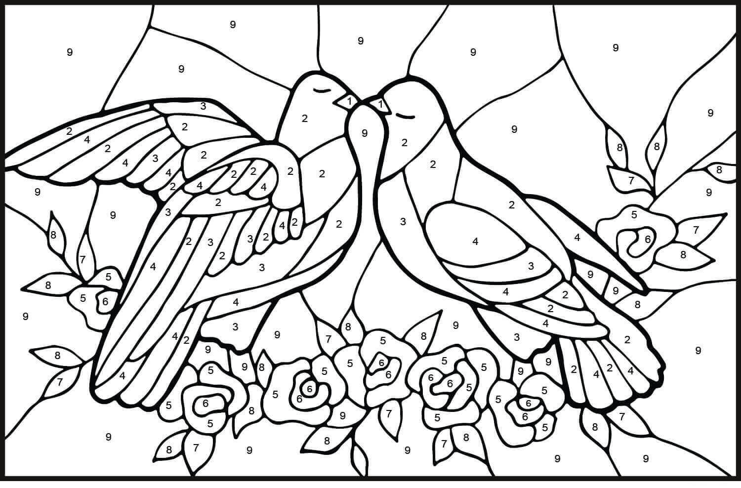 Color de las Palomas por Número