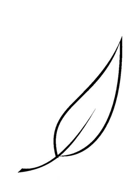 Colorea la Hoja