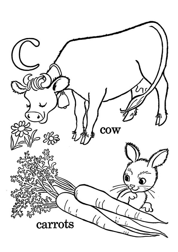 Conejo con Zanahorias y Vaca