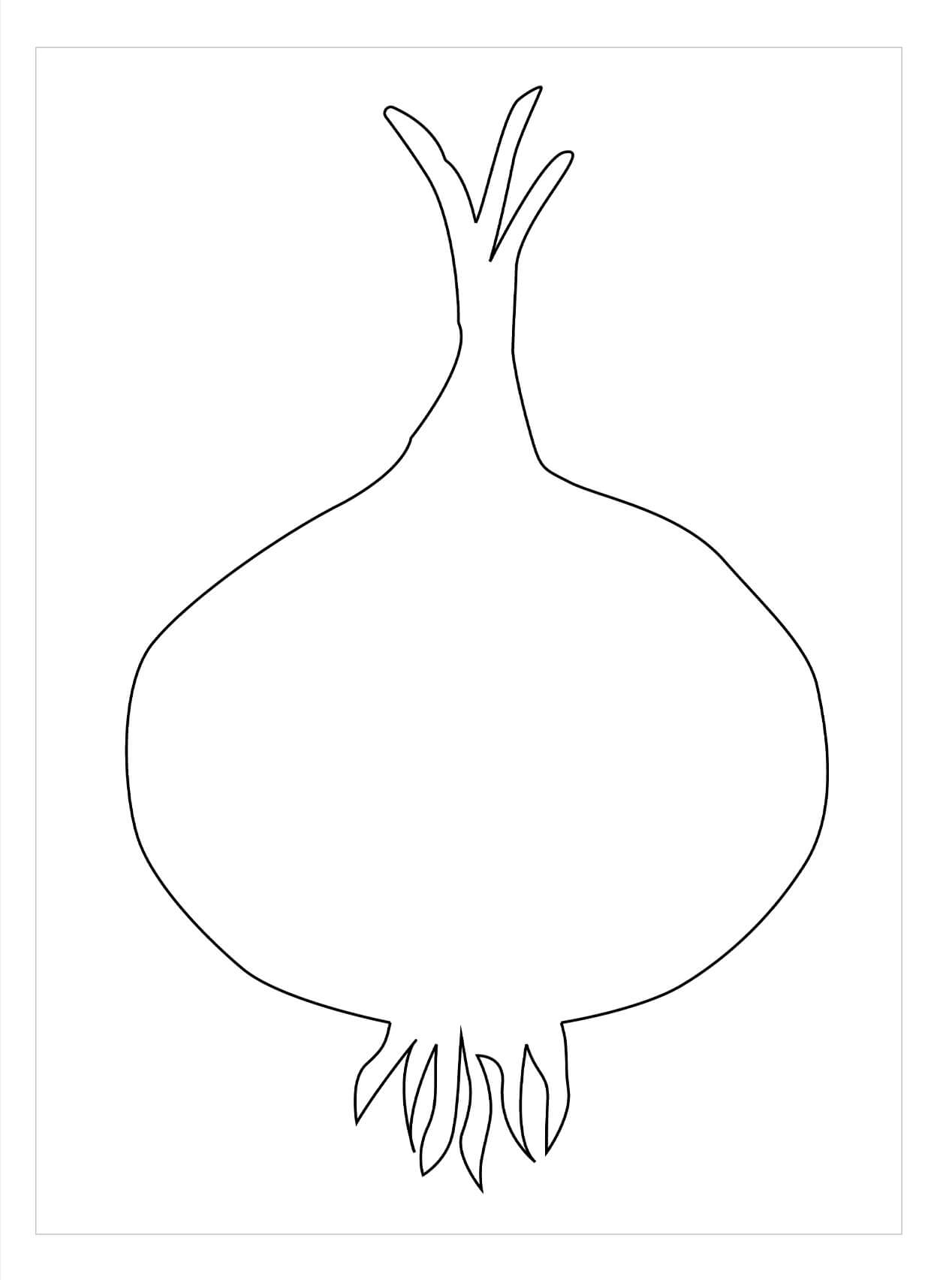 Contorno de Cebolla