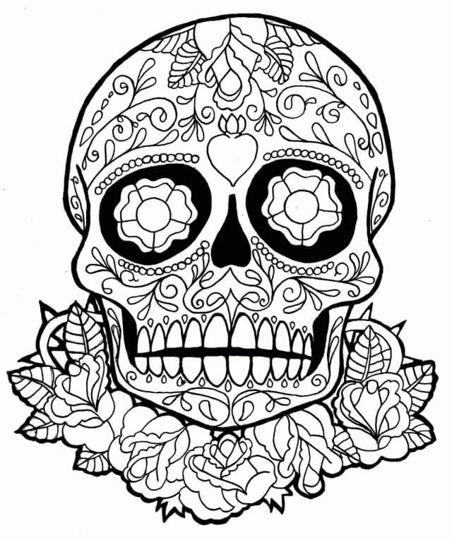 Cráneo y Hoja y Flor
