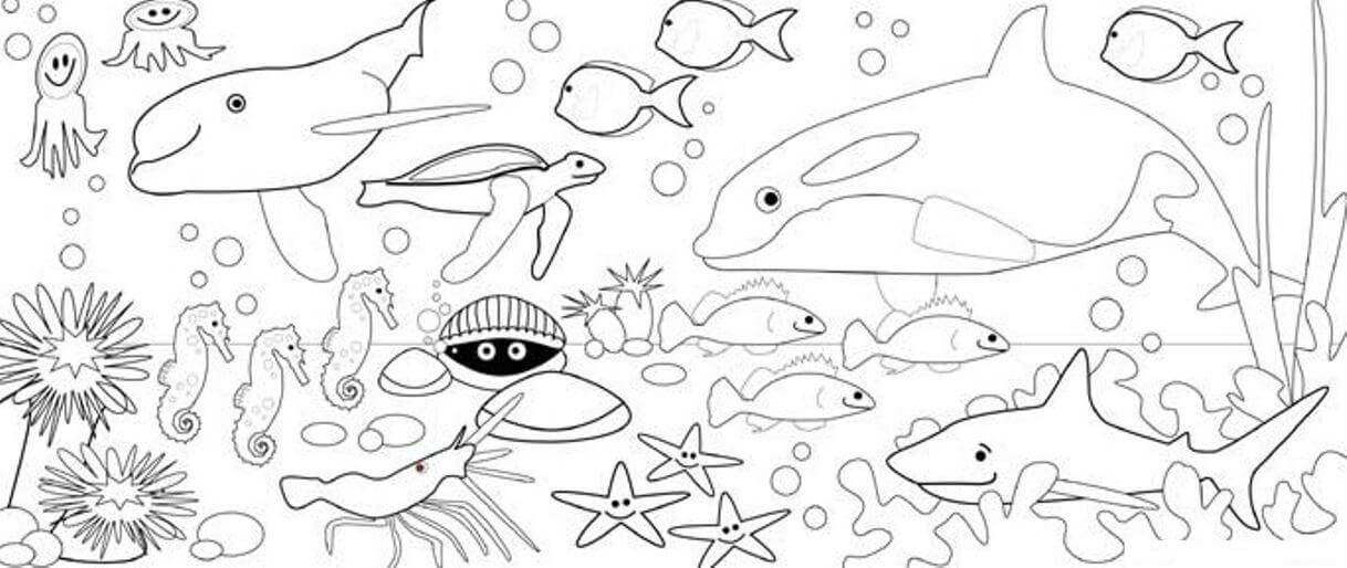 Cuatro Animales Marinos Lindos