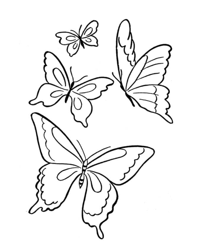 Cuatro Mariposas