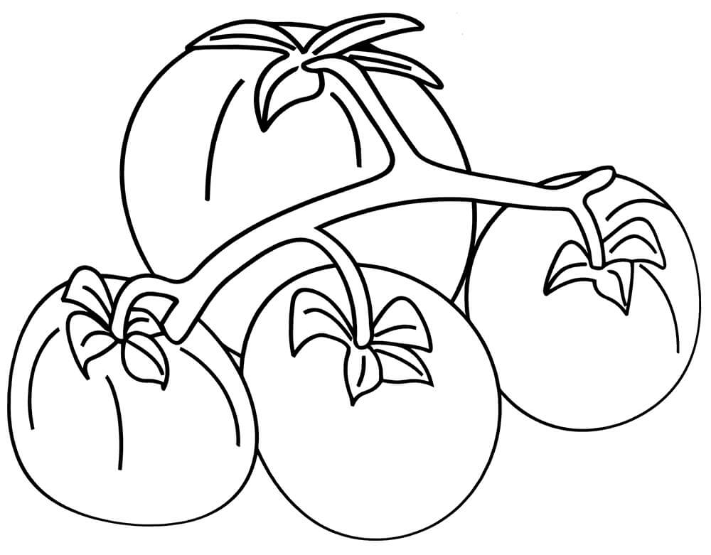 Cuatro Tomates