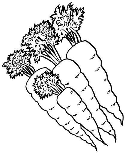 Cuatro Zanahorias