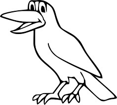Cuervo Dibujo