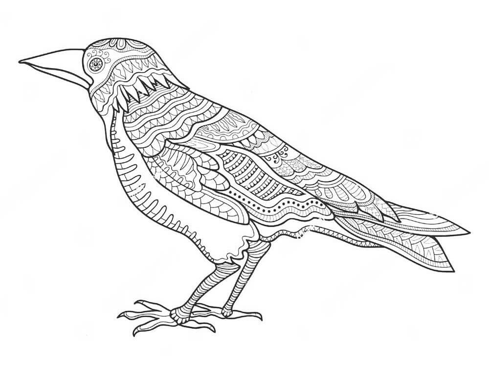 Cuervo Zentangle