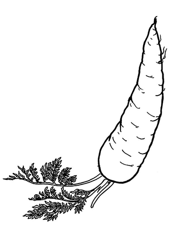 Desarraigado