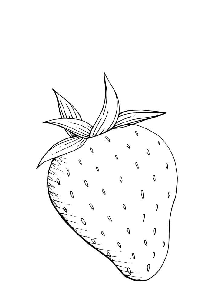 Dibujar a Mano Fresa