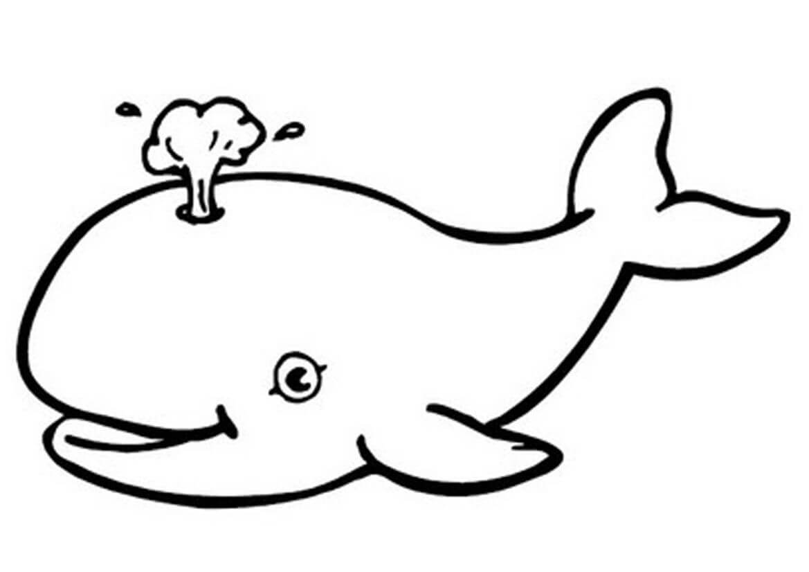 Dibujo Ballena