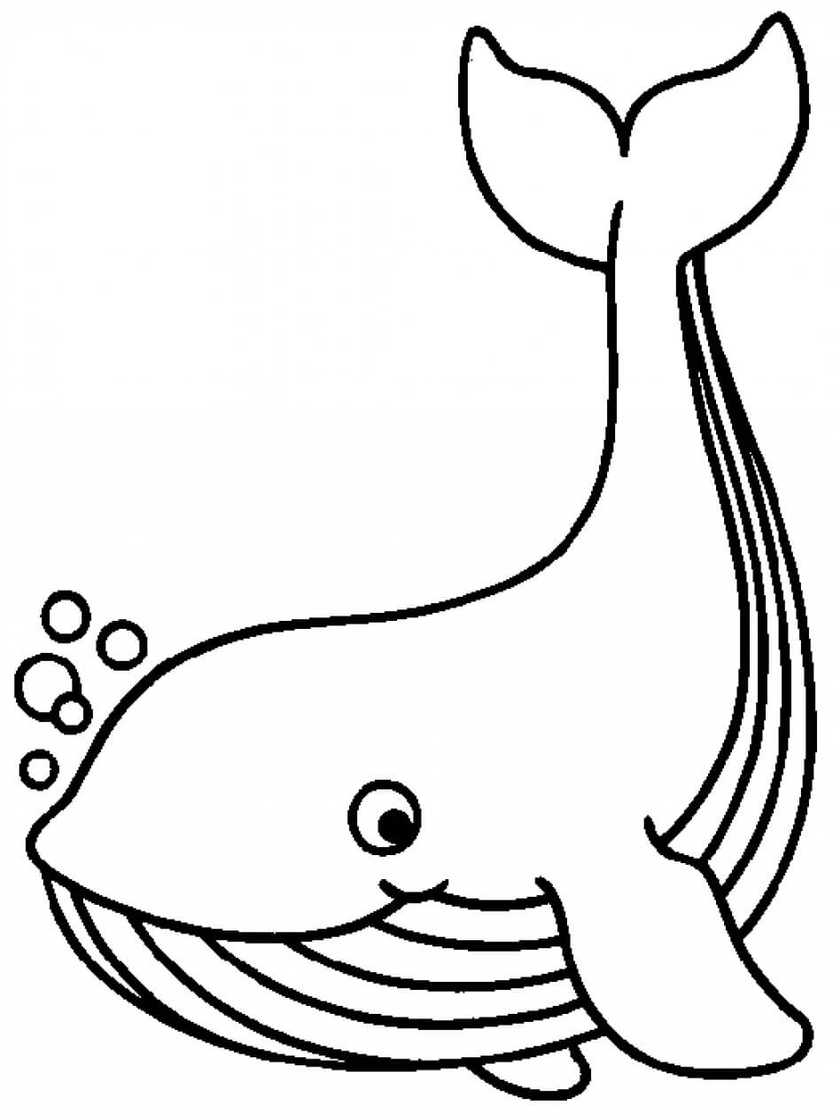 Dibujo Básico Ballena