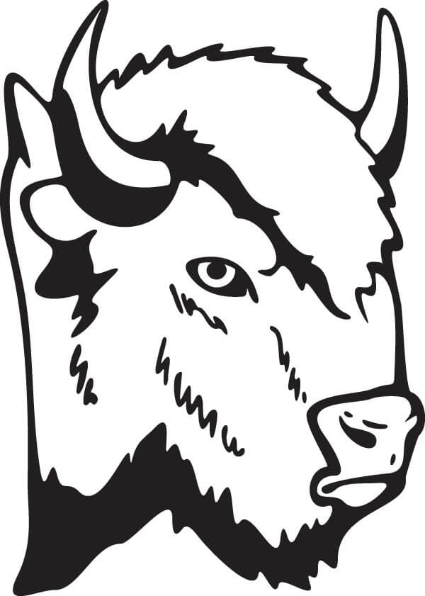 Dibujo Cabeza de Búfalo