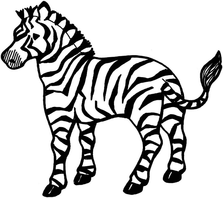 Dibujo Cebra