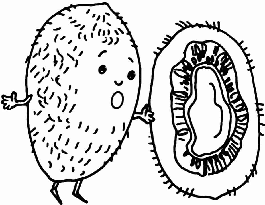 Dibujo De Dibujos Animados Kiwi