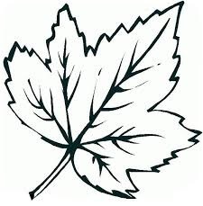 Dibujo De Hoja