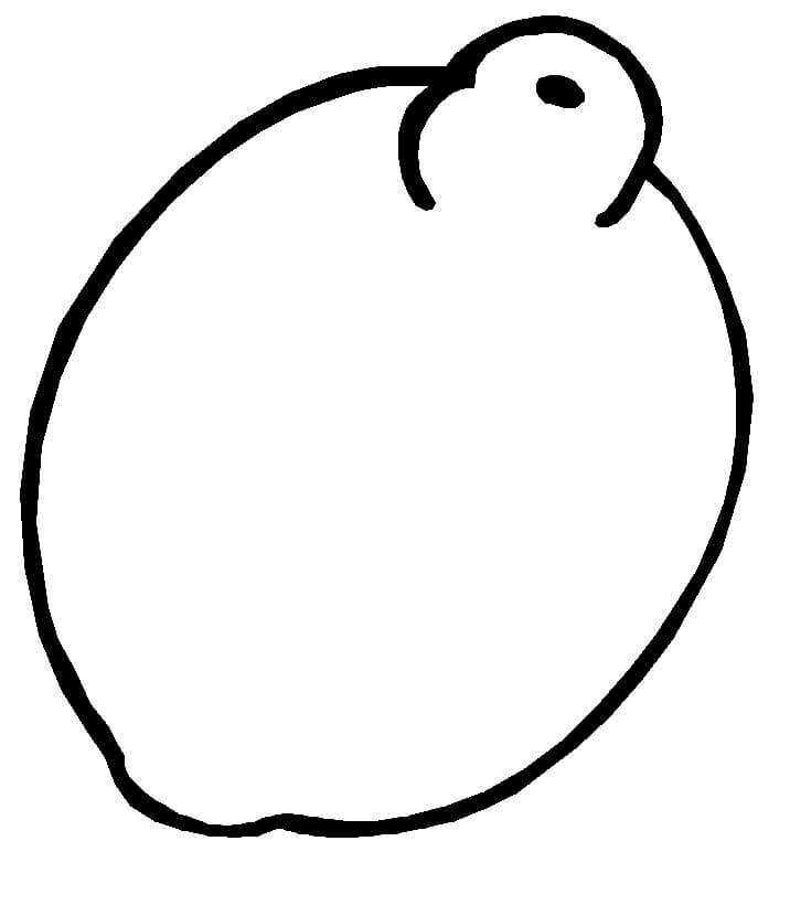 Dibujo Simple Limon