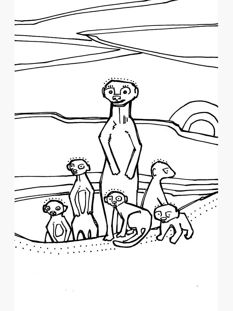 Dibujo Suricata