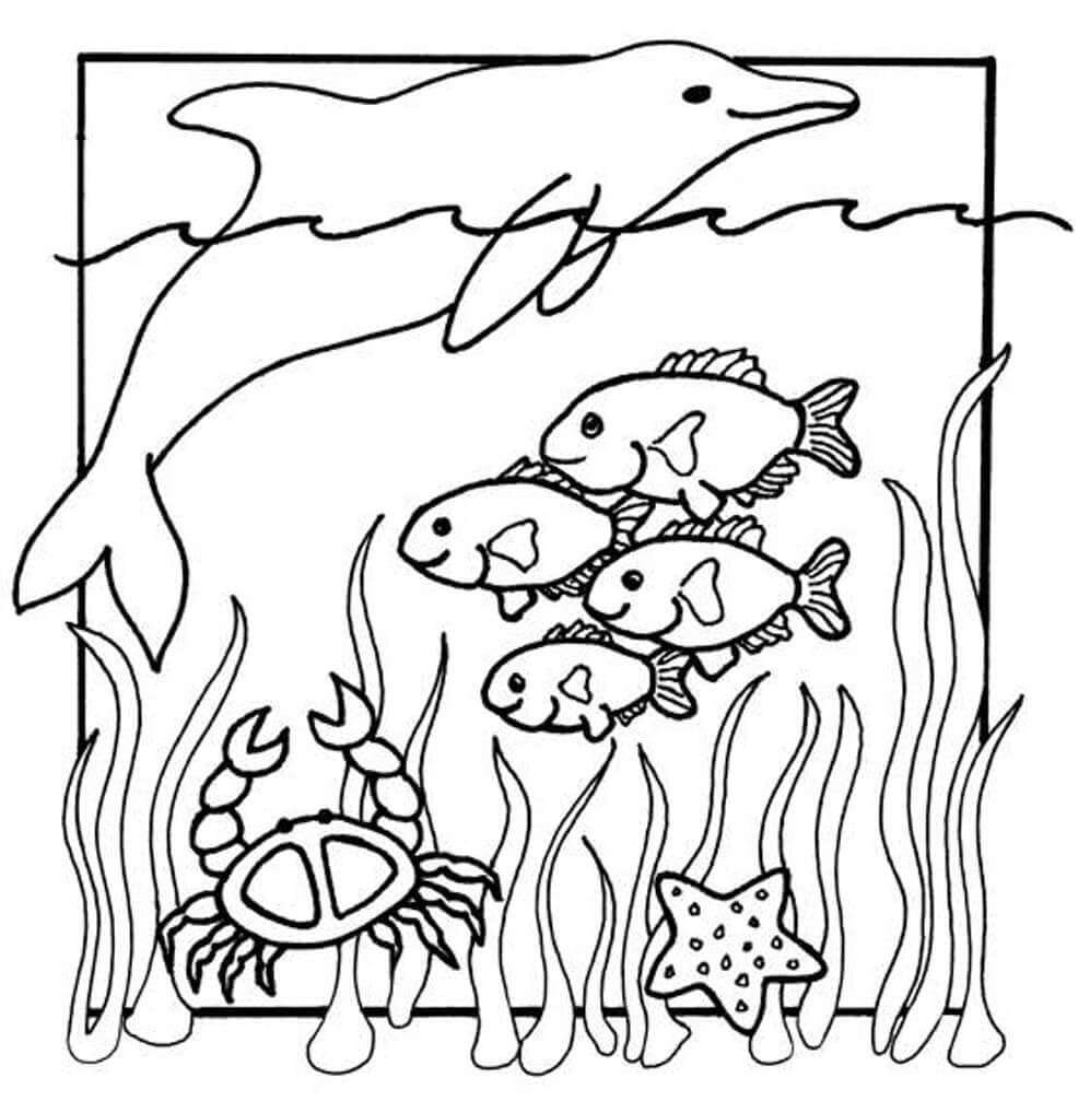Dibujo de Animales Marinos