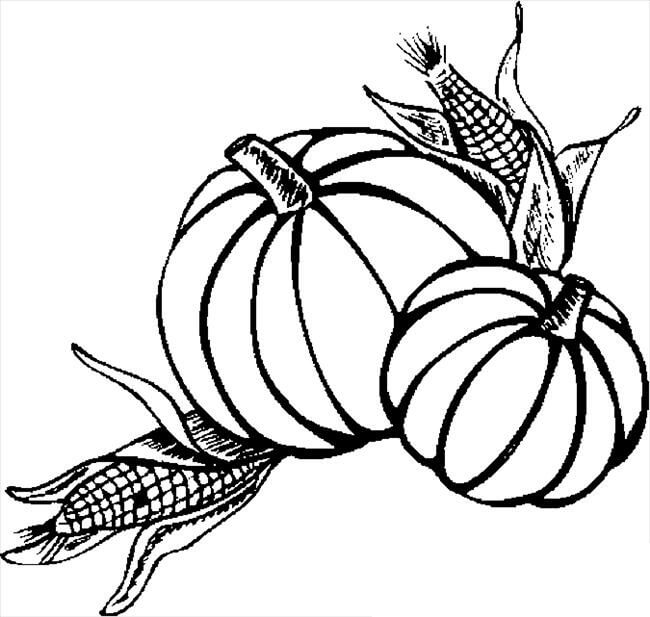 Dibujo de Calabaza y Maíz