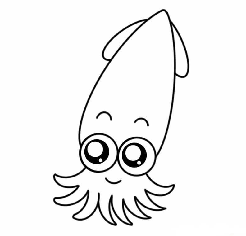 Dibujo de Calamar