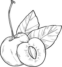 Dibujo de Cereza