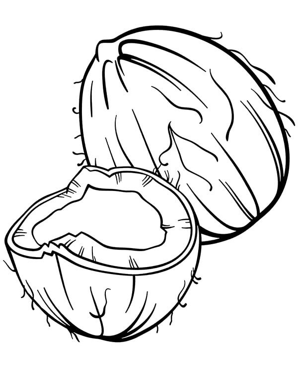 Dibujo de Coco