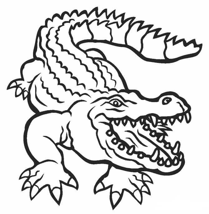 Dibujo de Cocodrilo