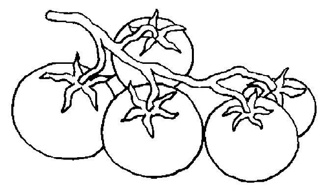 Dibujo de Cuatro Tomates