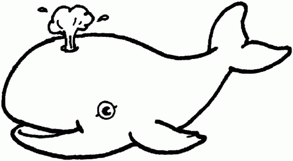 Dibujo de Delfines