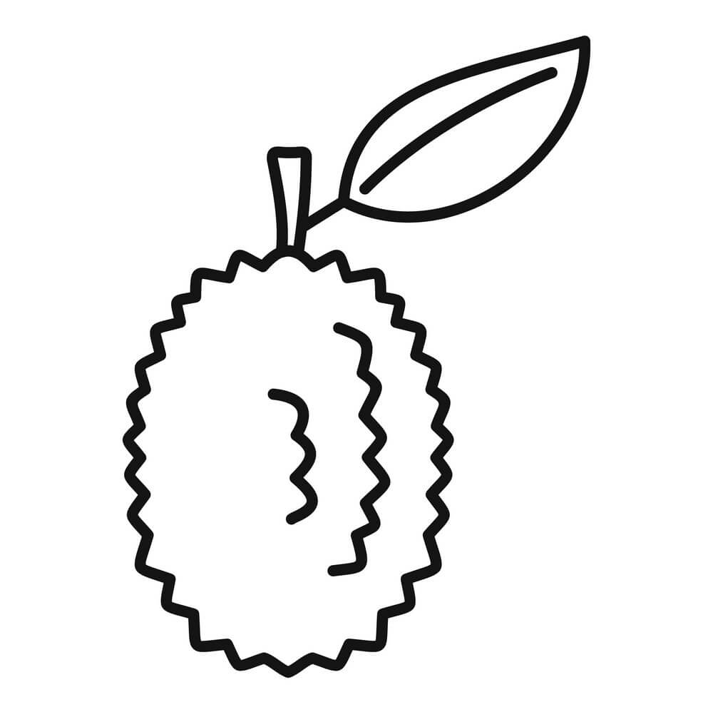 Dibujo de Durian