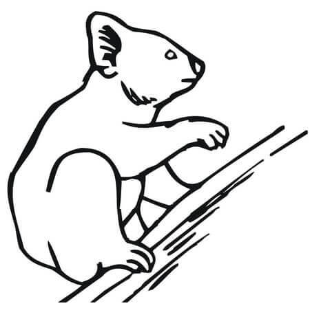 Dibujo de Escalada de Koalas