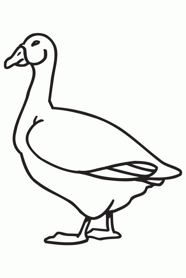 Dibujo de Ganso