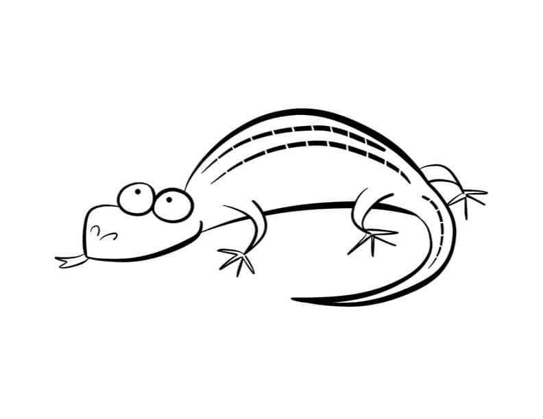 Dibujo de Lagarto
