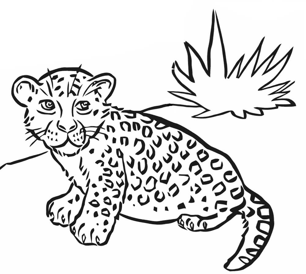 Dibujo de Leopardo