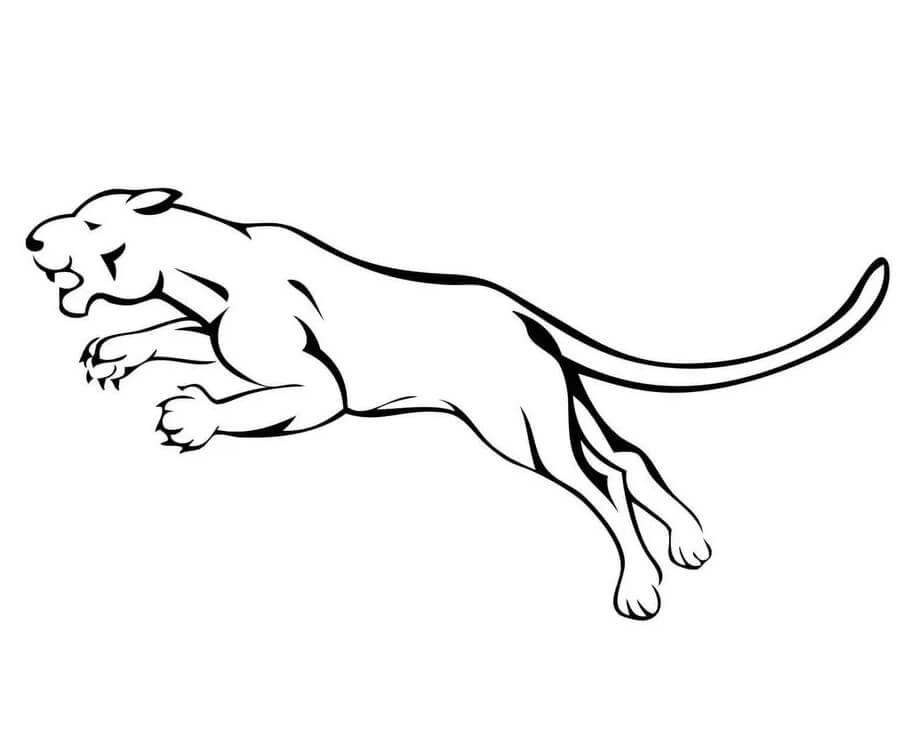 Dibujo de Puma Saltando