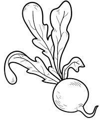 Dibujo de rábano