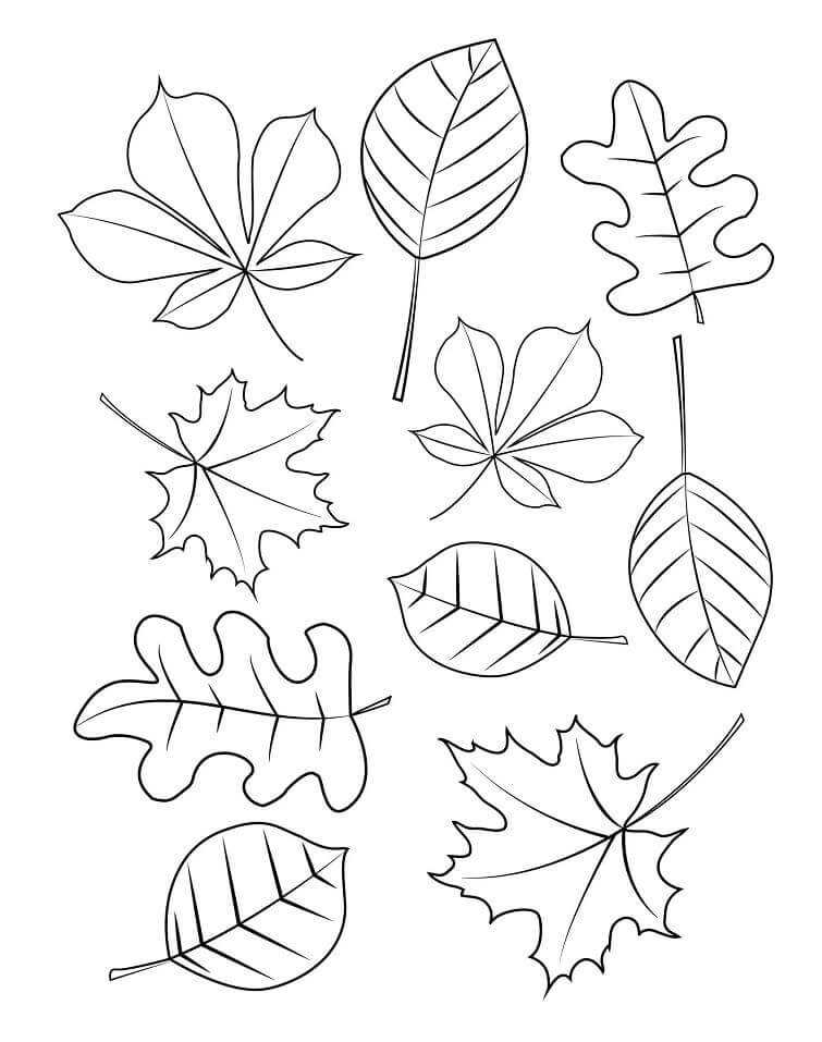Diez Hojas de Otoño