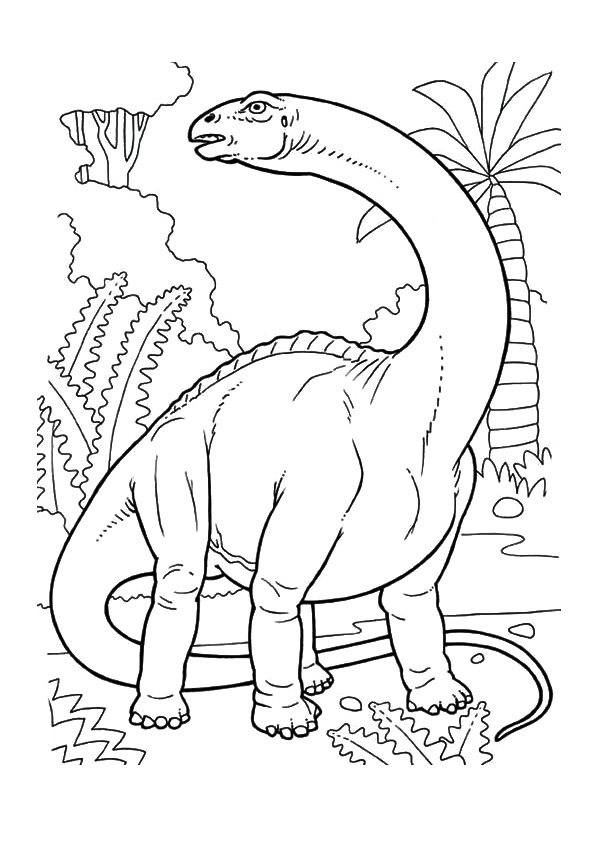 Dino Catrak
