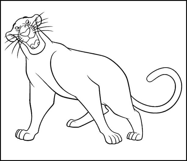 Bagheera