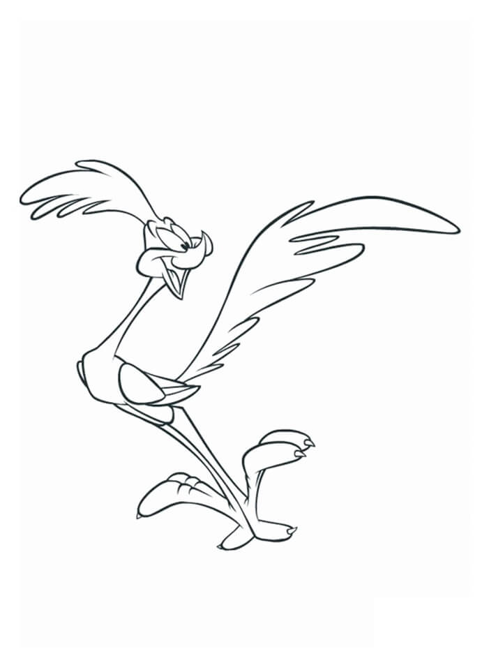 Diversión Road Runner