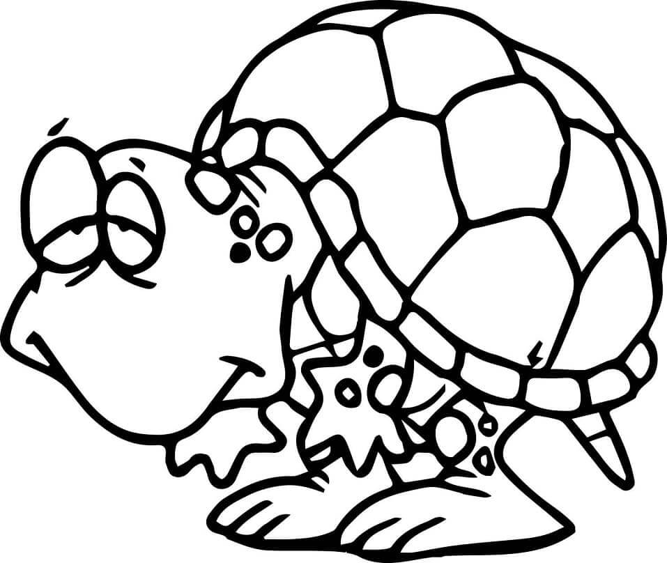 Divertida Tortuga Vieja